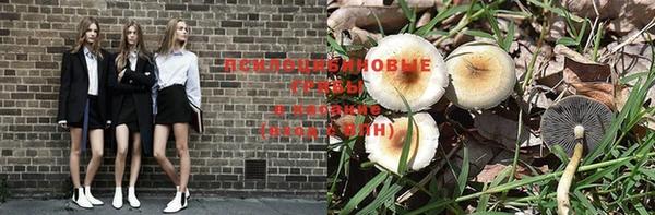 MESCALINE Арсеньев