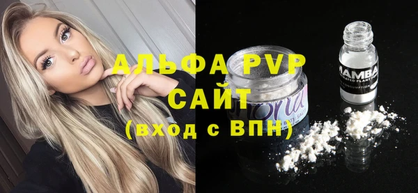 молекула духа Алексеевка