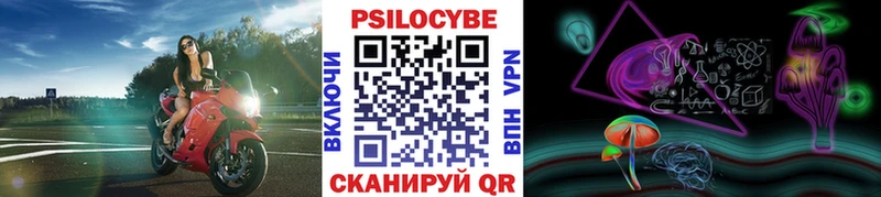 где найти Краснотурьинск Псилоцибиновые грибы GOLDEN TEACHER